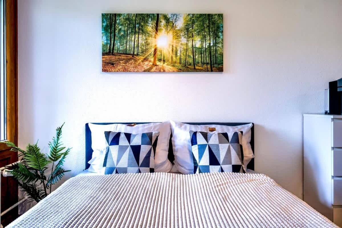 Relaxapartments Black Forest Emotion Mit Sonnenbalkon Mit Blick Auf Den Kurpark, Schnelles Internet, Naehe Triberger Wasserfaelle, Fuer Bis Zu 2 Personen Schönwald Exterior photo